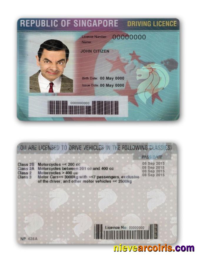 Singapore driving license
